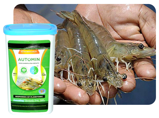 Amazing Biotech Private Limited